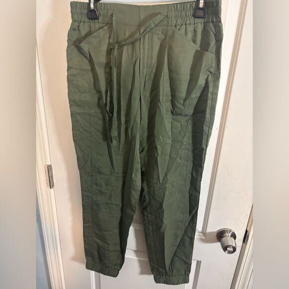 Banana Republic women’s Sage Green satin Pants size small NWT - Picture 1 of 4